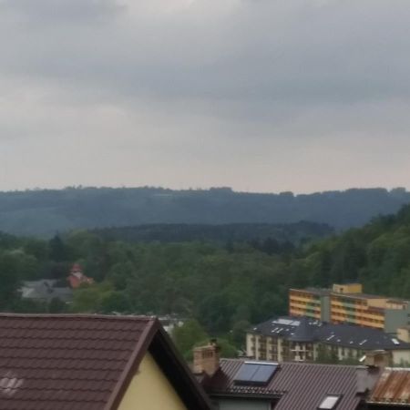 Ferienwohnung Lesna 26 Bad Kudowa Exterior foto